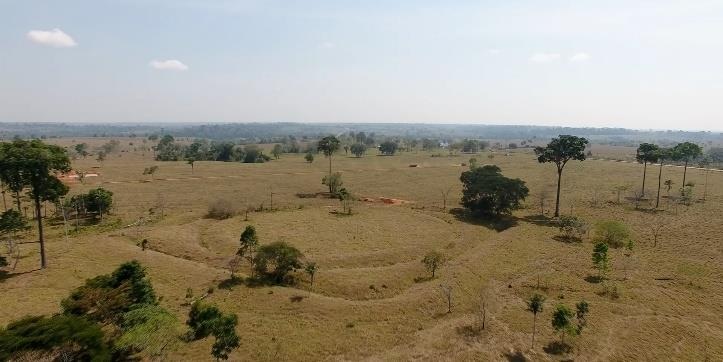 Kuva elokuvasta Geoglifos en la Amazonía